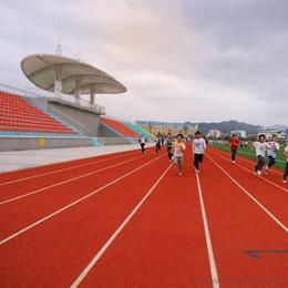 拼裝運動地板供應與批發指南 產品、價格與選購渠道